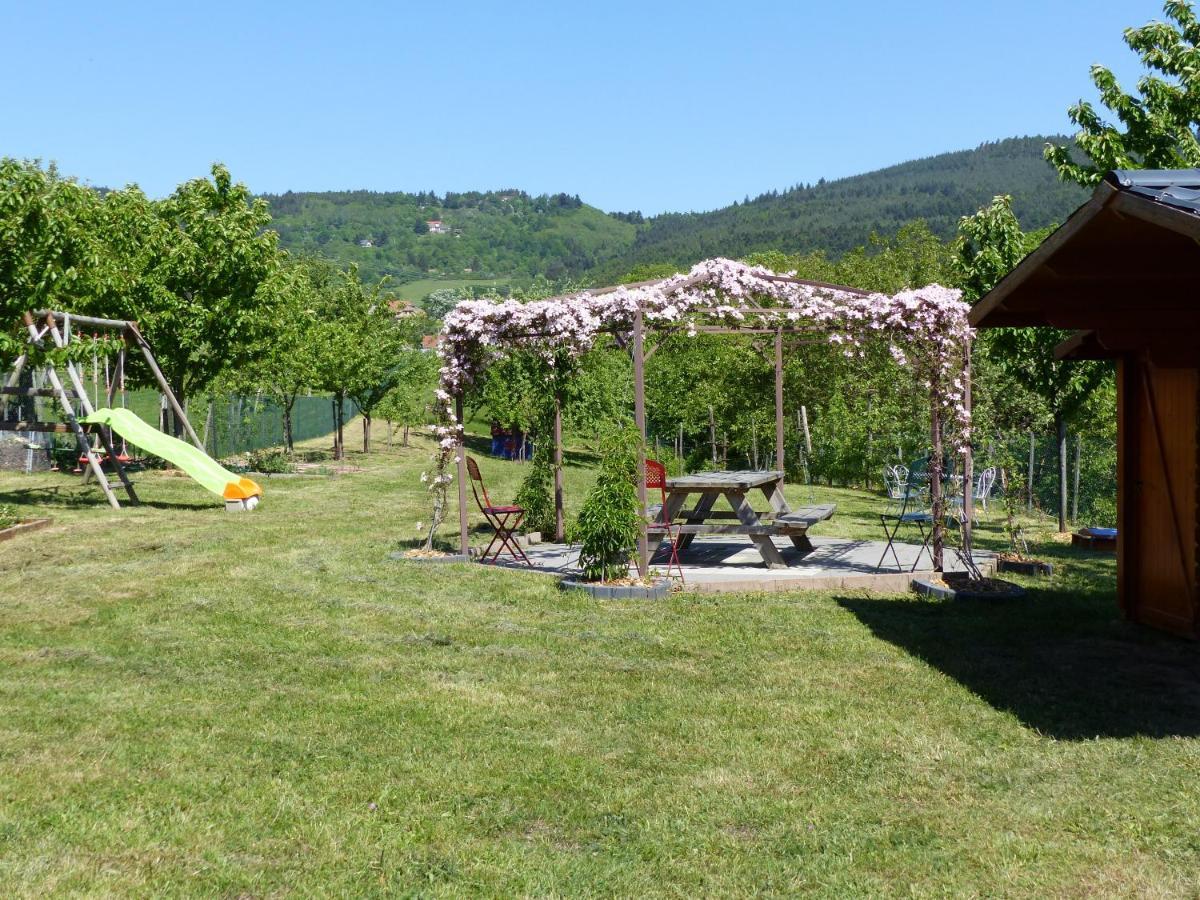 Gites Chez Schangala Thannenkirch Buitenkant foto