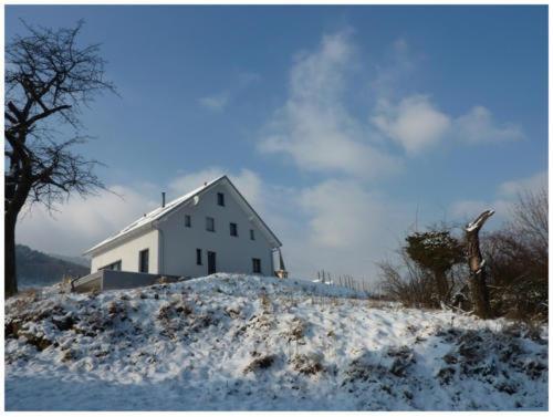 Gites Chez Schangala Thannenkirch Buitenkant foto