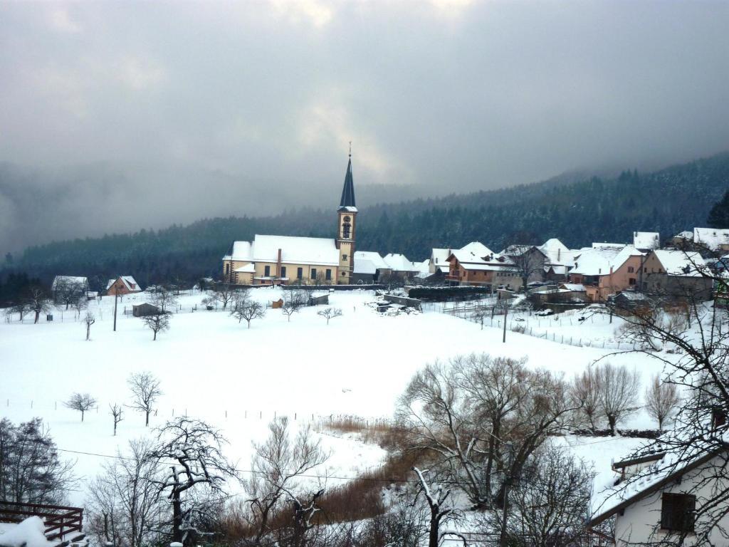 Gites Chez Schangala Thannenkirch Buitenkant foto