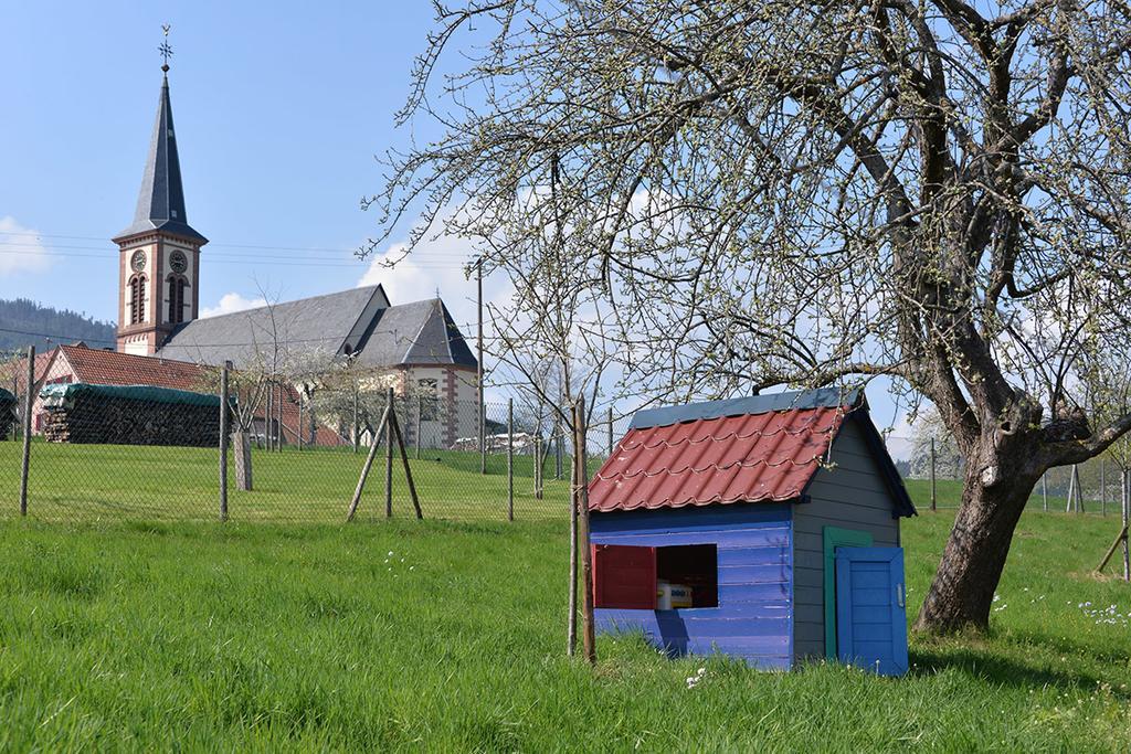 Gites Chez Schangala Thannenkirch Buitenkant foto